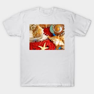 SeaShells... T-Shirt